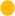 Yellow dog