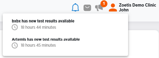 Notifications shown below bell icon